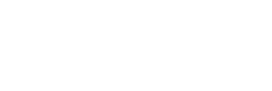  سجاد علوی